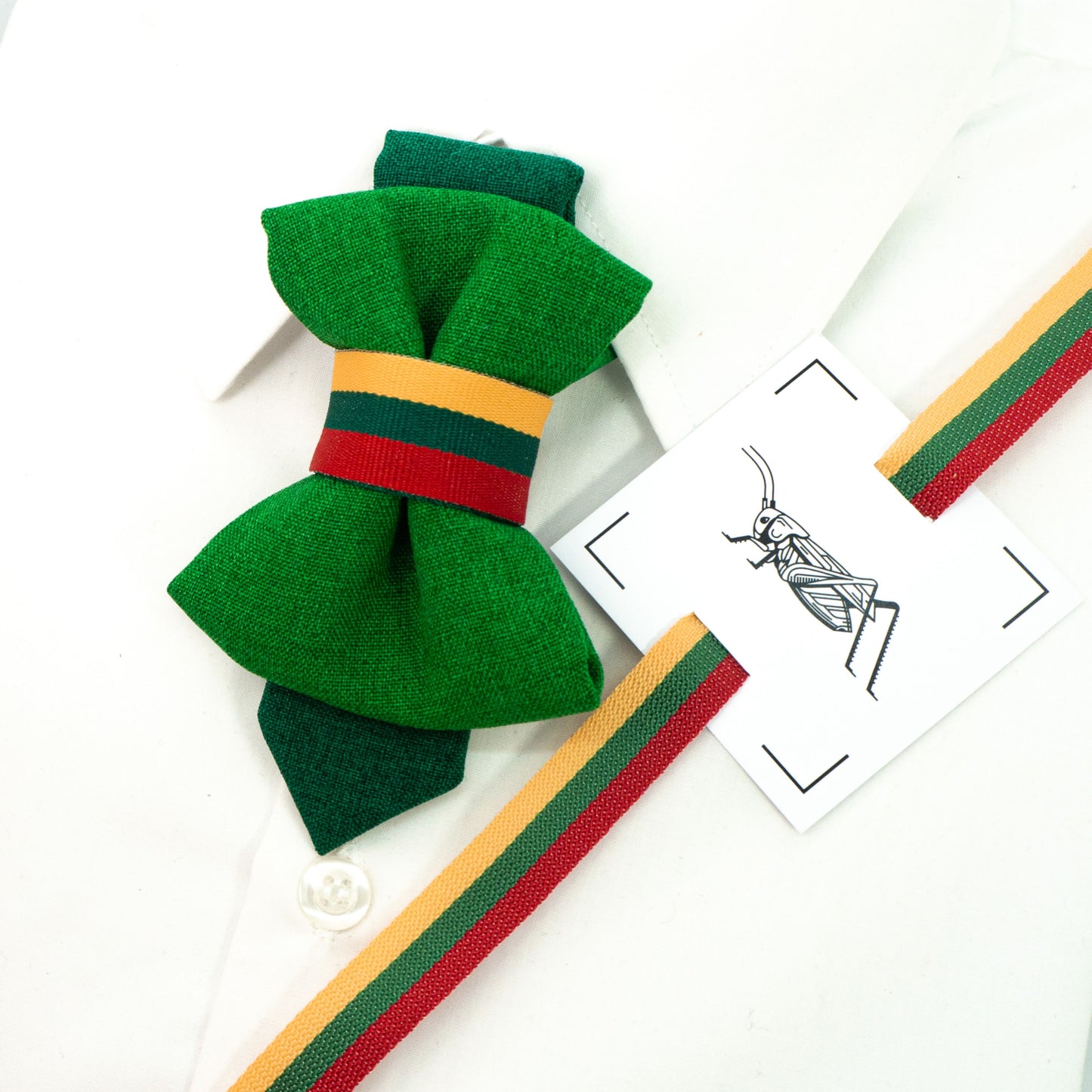 Green tie for children decorated with a tricolor ribbon, green bow tie for children