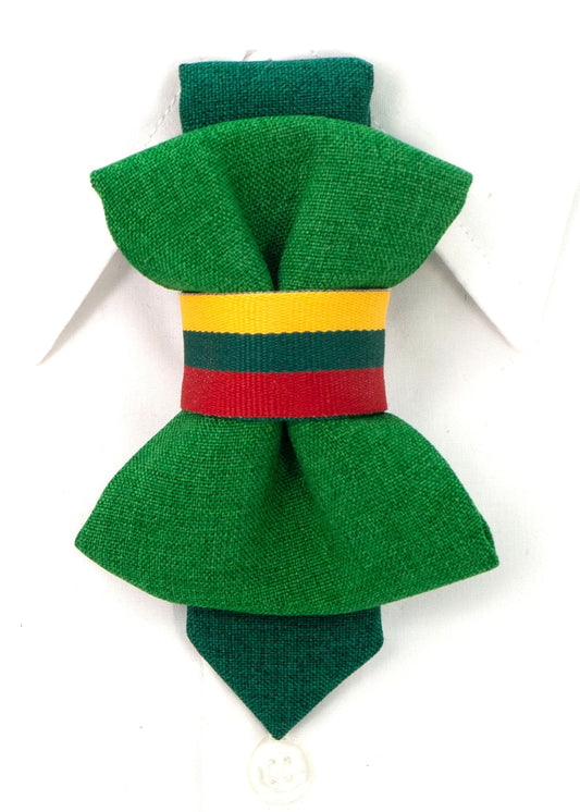 Green tie for children decorated with a tricolor ribbon, green bow tie for children