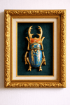 Decorative beetle sculpture in a gold frame on a white wall