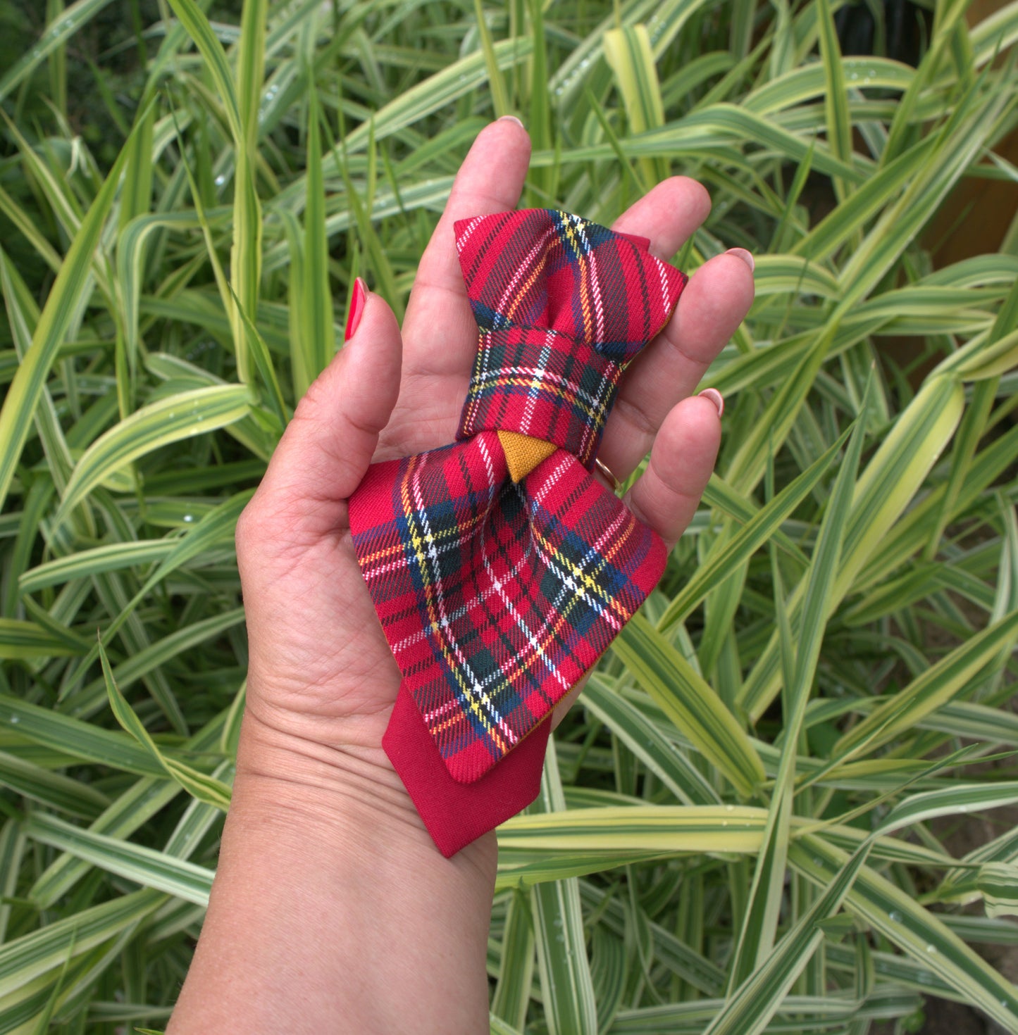 BOW TIE "SCOTT" FOR WOMEN