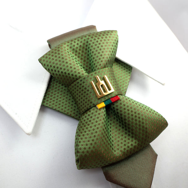 Green patterned bow tie with a gold clasp on a white background