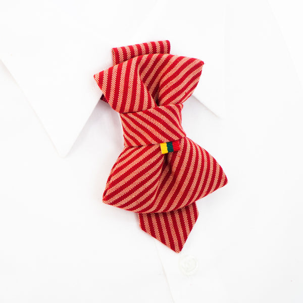 RED AND BLUE CHILDRENS TIE WITH TRICOLOUR FLAG