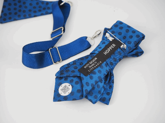 Unique Blue Bow tie for women, Blue Hopper tie, Bow tie blue champagne