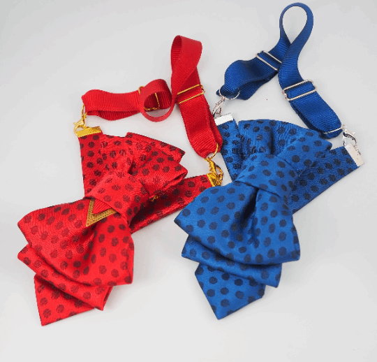 Unique Blue Bow tie for women, Blue and Red Hopper tie, Bow tie blue and red 