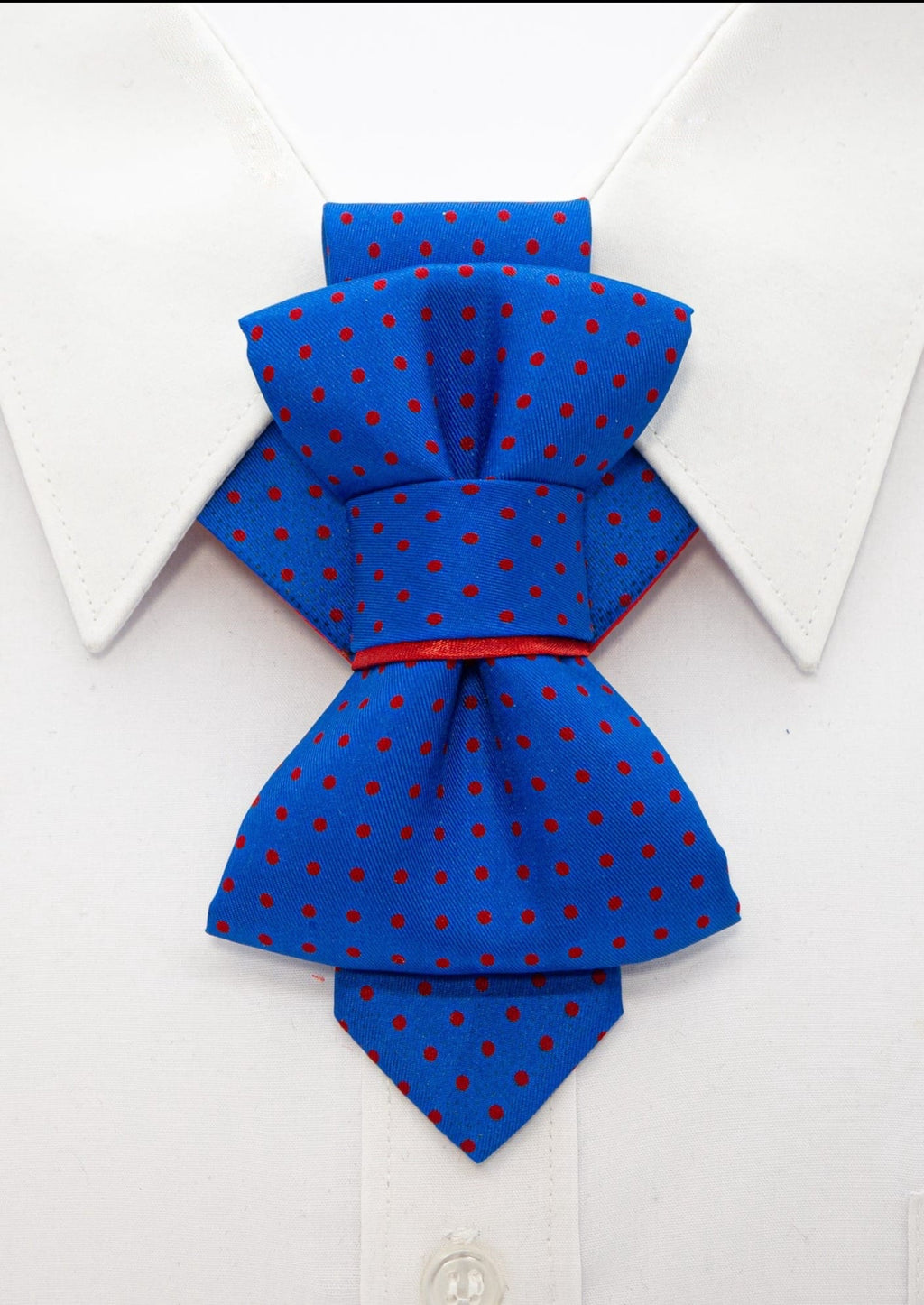 Bow tie hopper tie, Ruty Design, Bow tie, Vertical hopper hand made high quality a tie, Groom tie, Wedding tie
