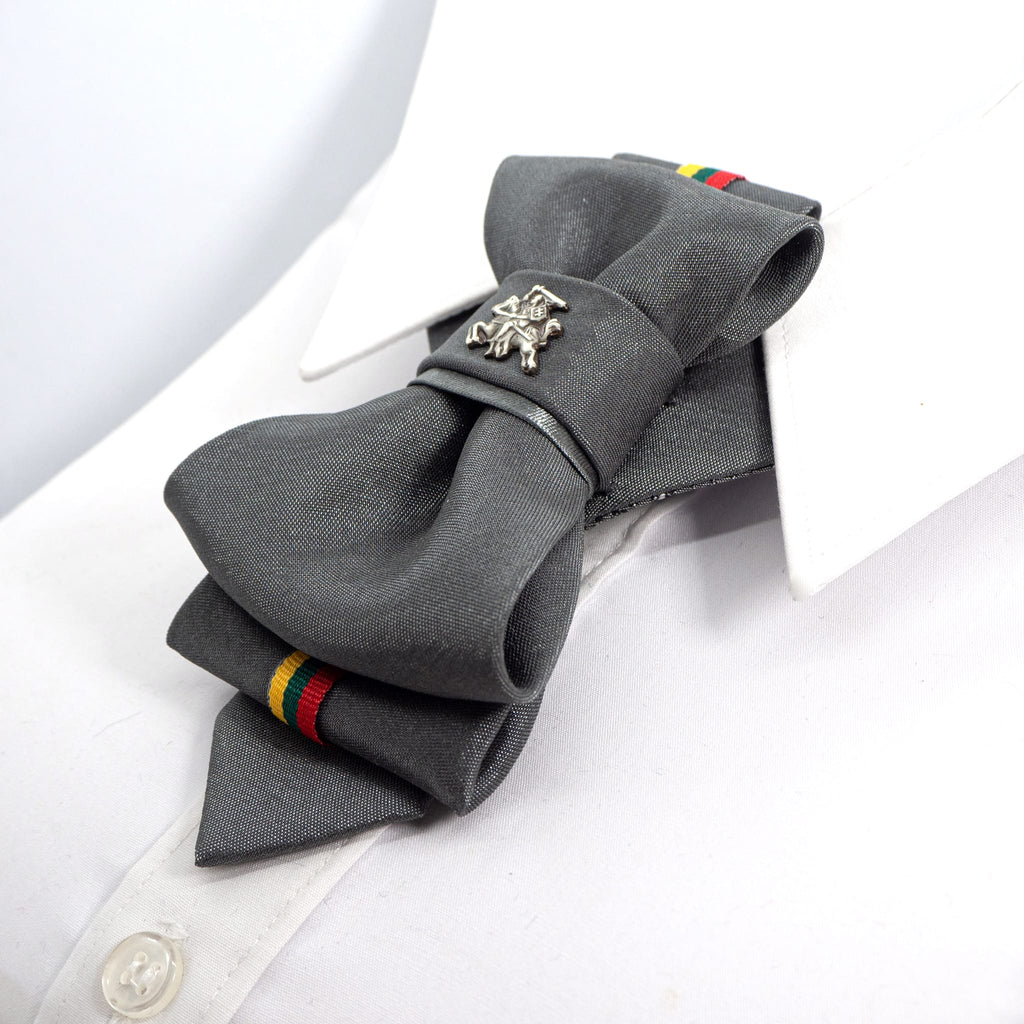 Novelty tie, Lithuania flag tie, Lithuania tie with Vytis symbol