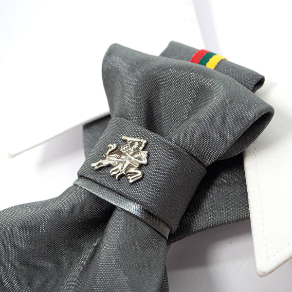 Novelty tie, Lithuania flag tie, Lithuania tie with Vytis symbol close up view